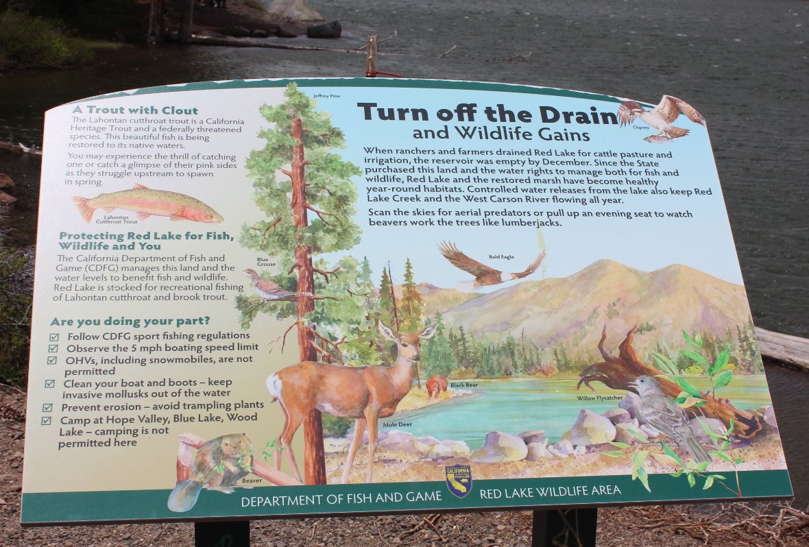 Info Sign
