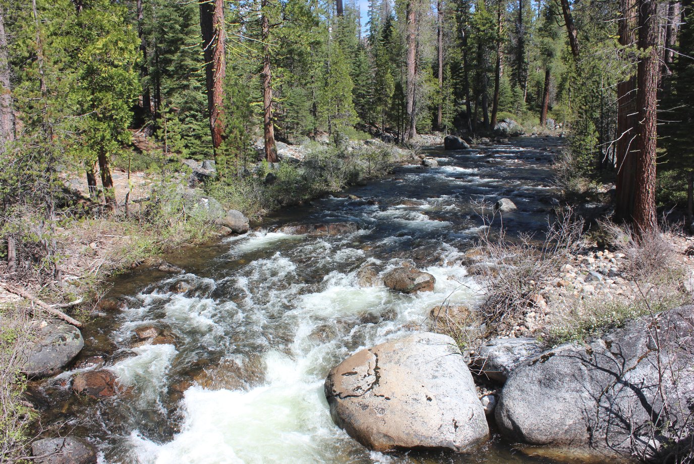 Up Gerle Creek