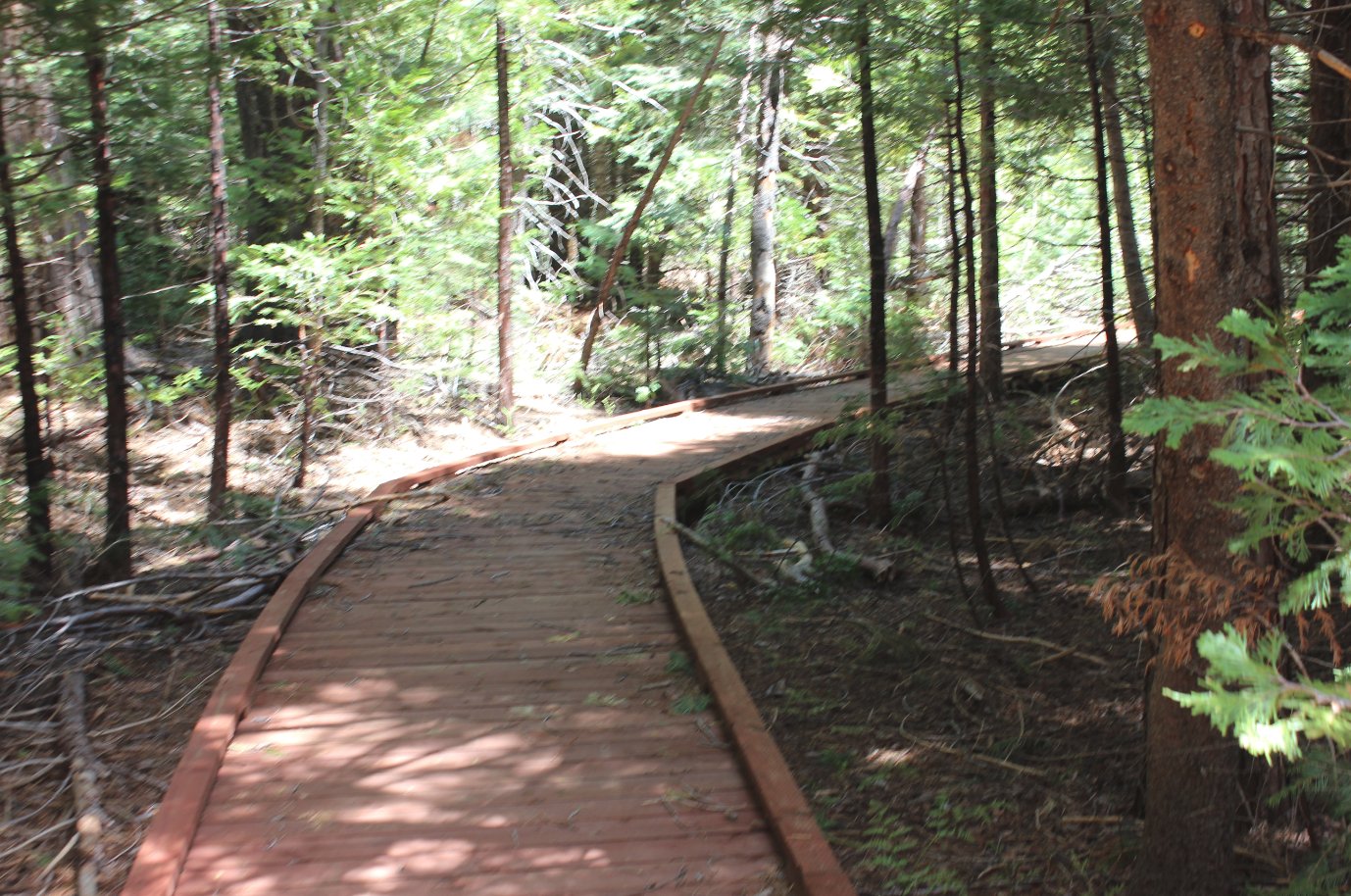 platform walk