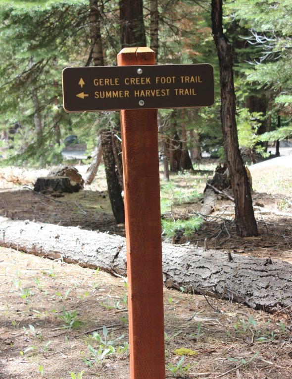 Trail junction