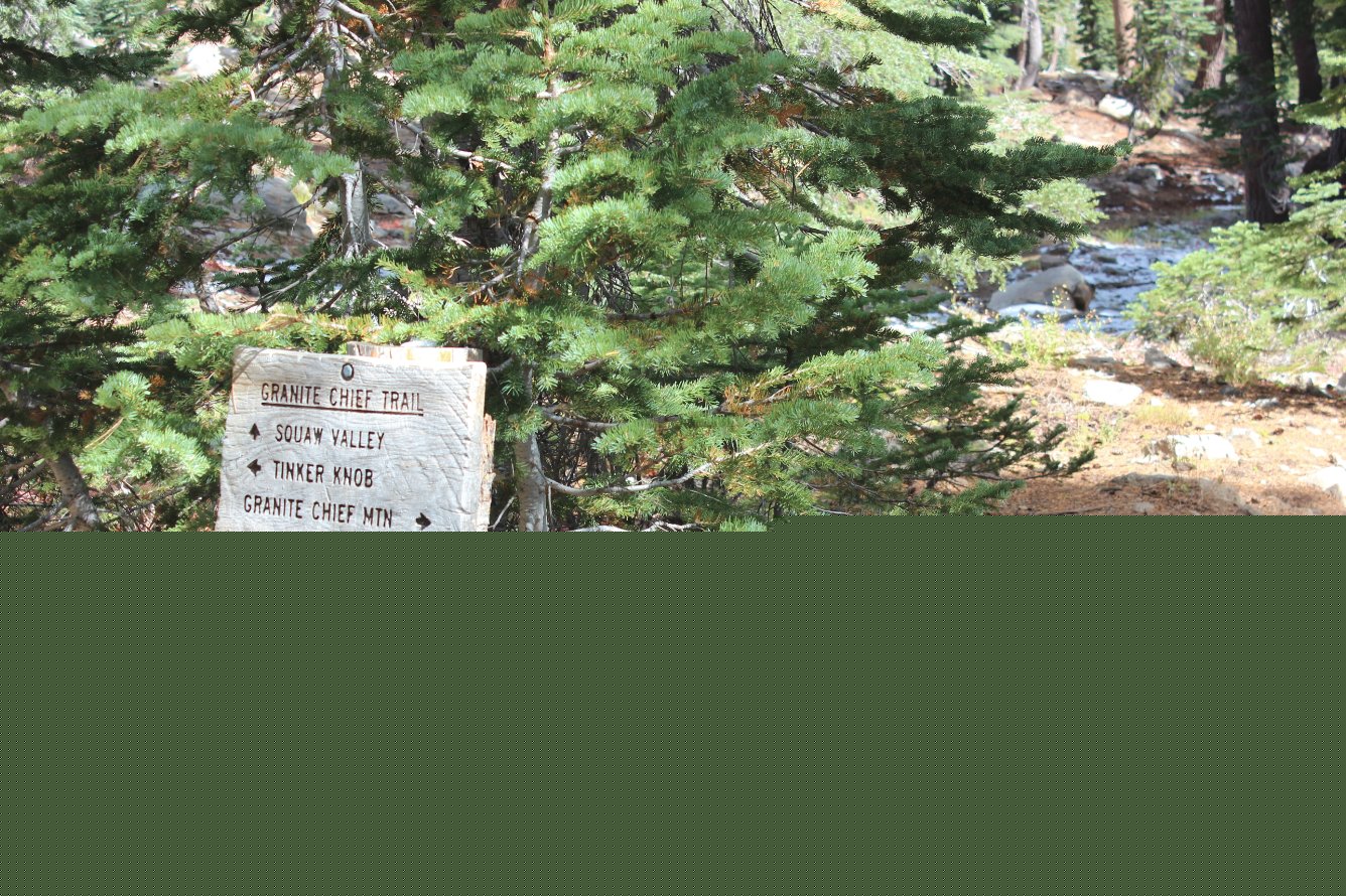 Joining the PCT