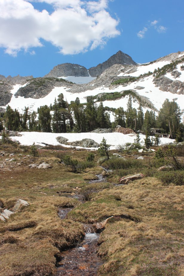 Dana Meadow