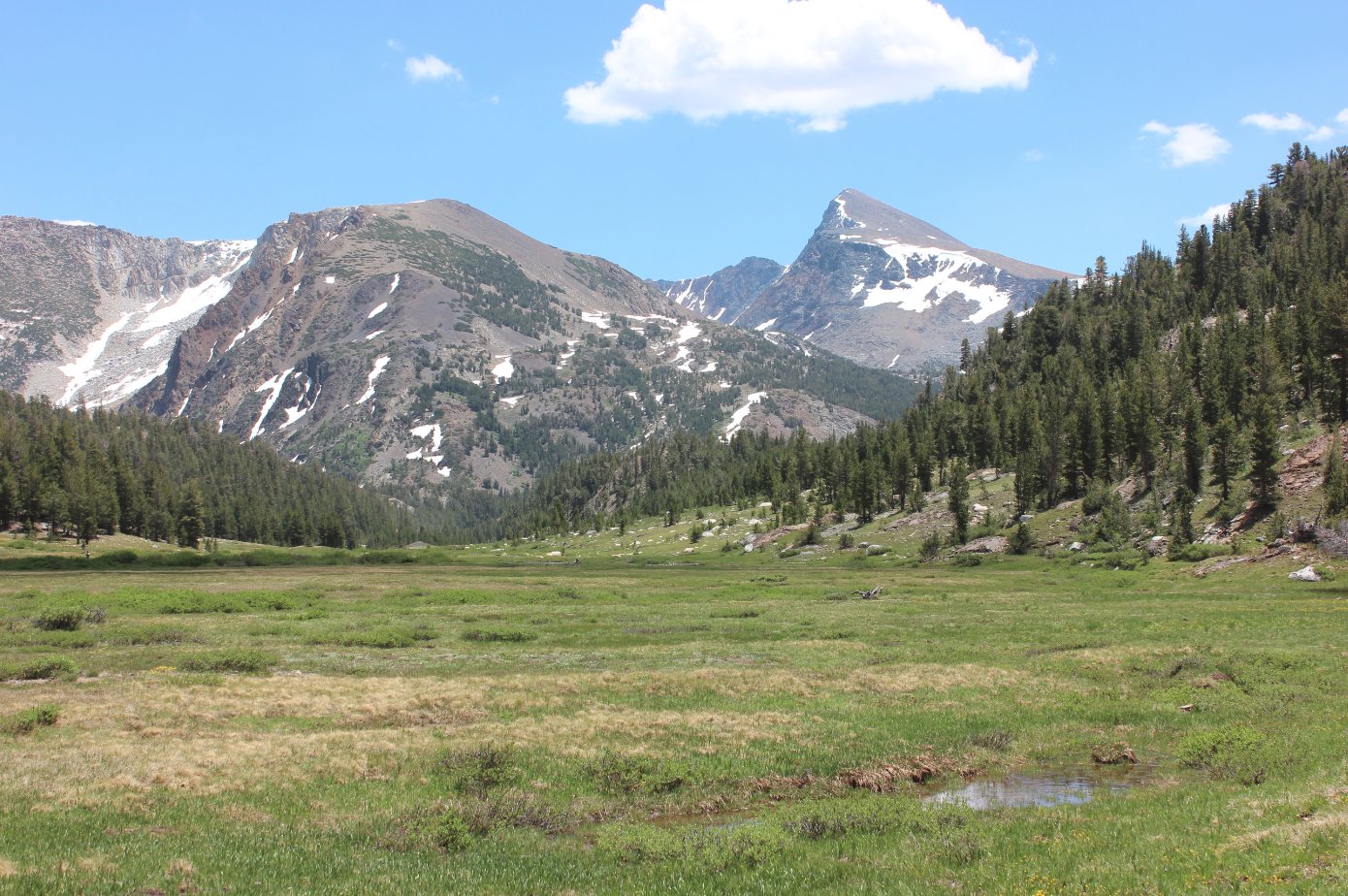 Mt. Dana Again