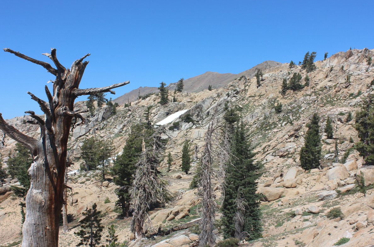 Deadwood Peak