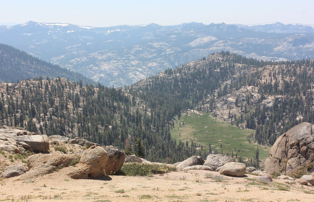 Meadow and Canyon