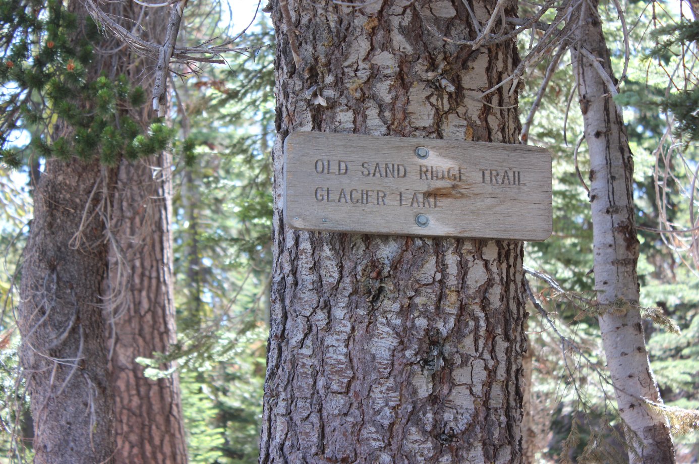Sign