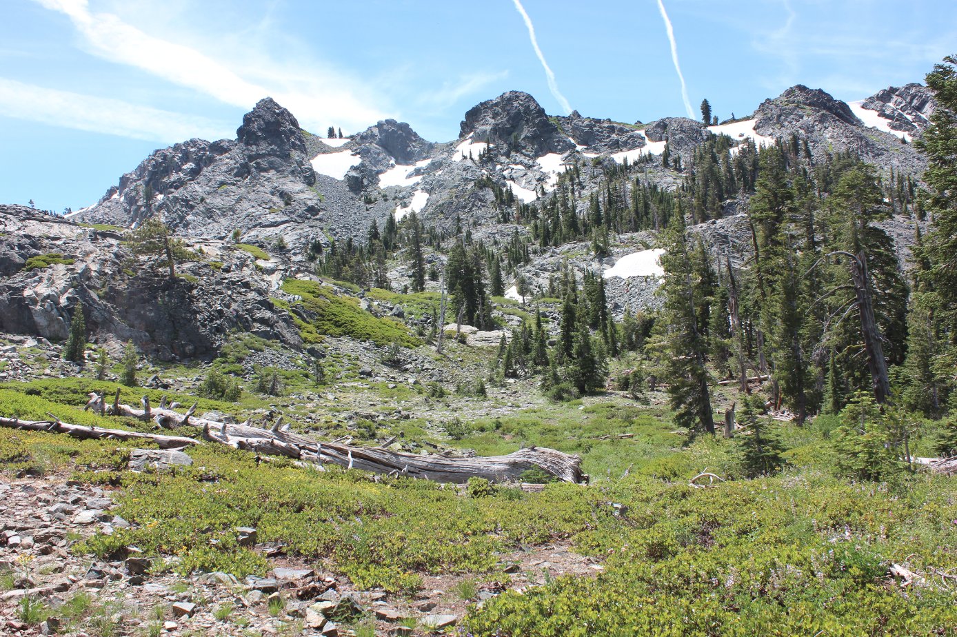 Up toward the lake
