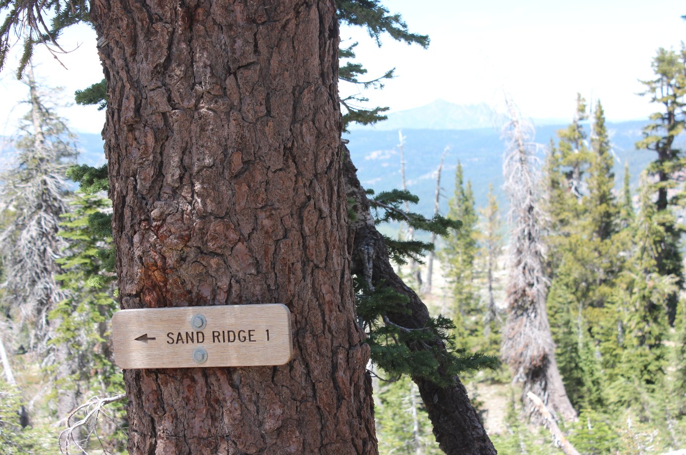 Sand Ridge