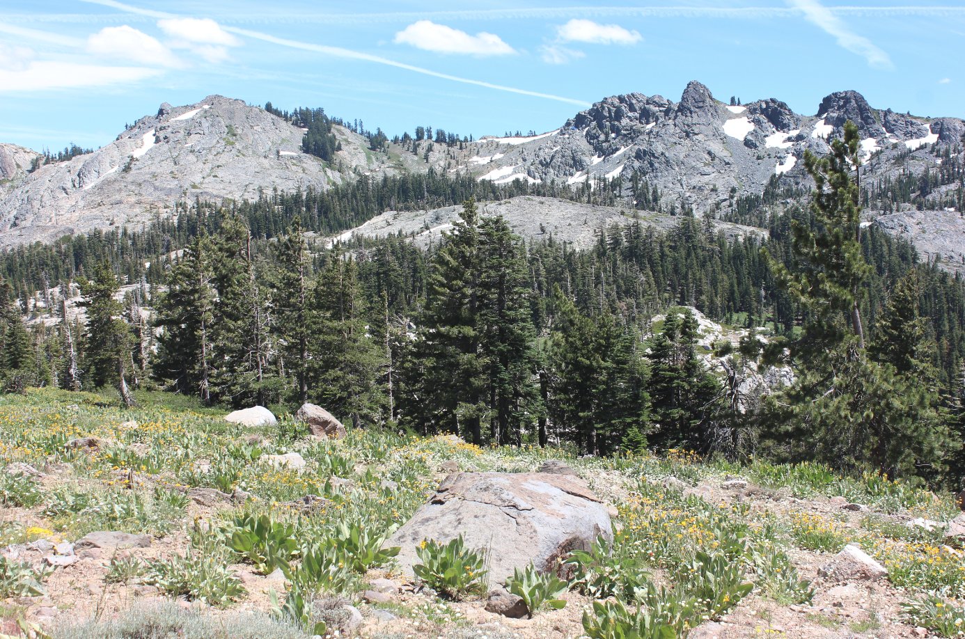 More trail
