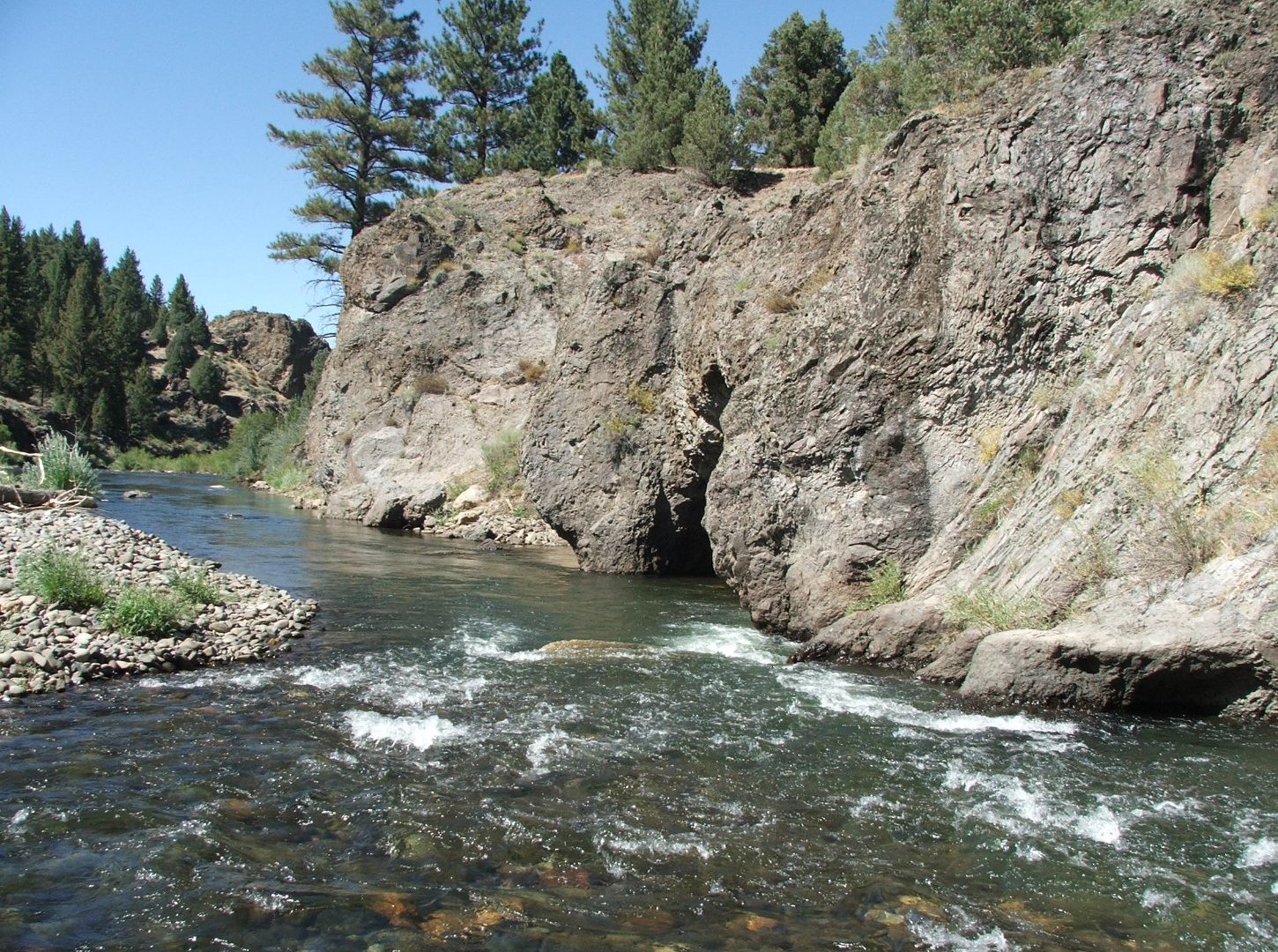 Carson River past the park