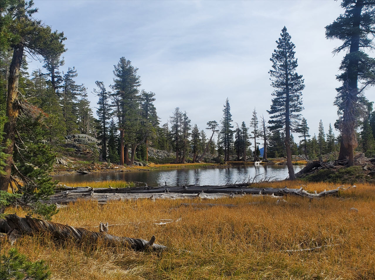 Ponds