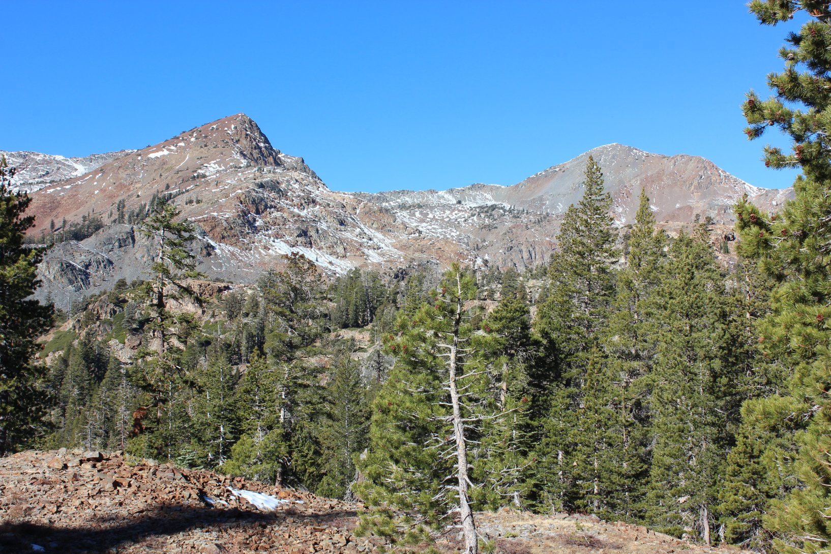 Jacks and Dicks Peaks
