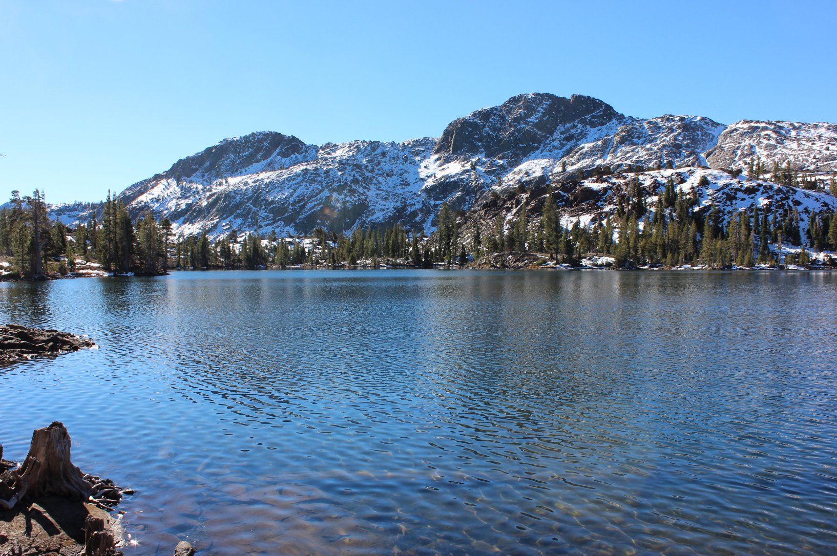 Susie Lake