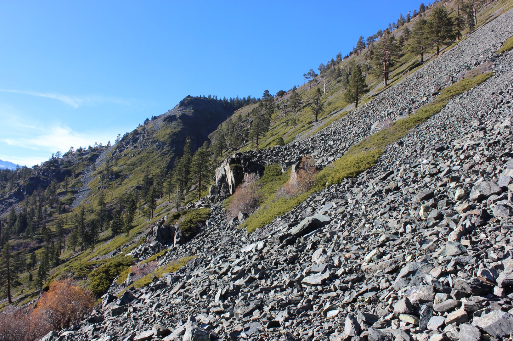 Looking back up Middle Tallac Trail