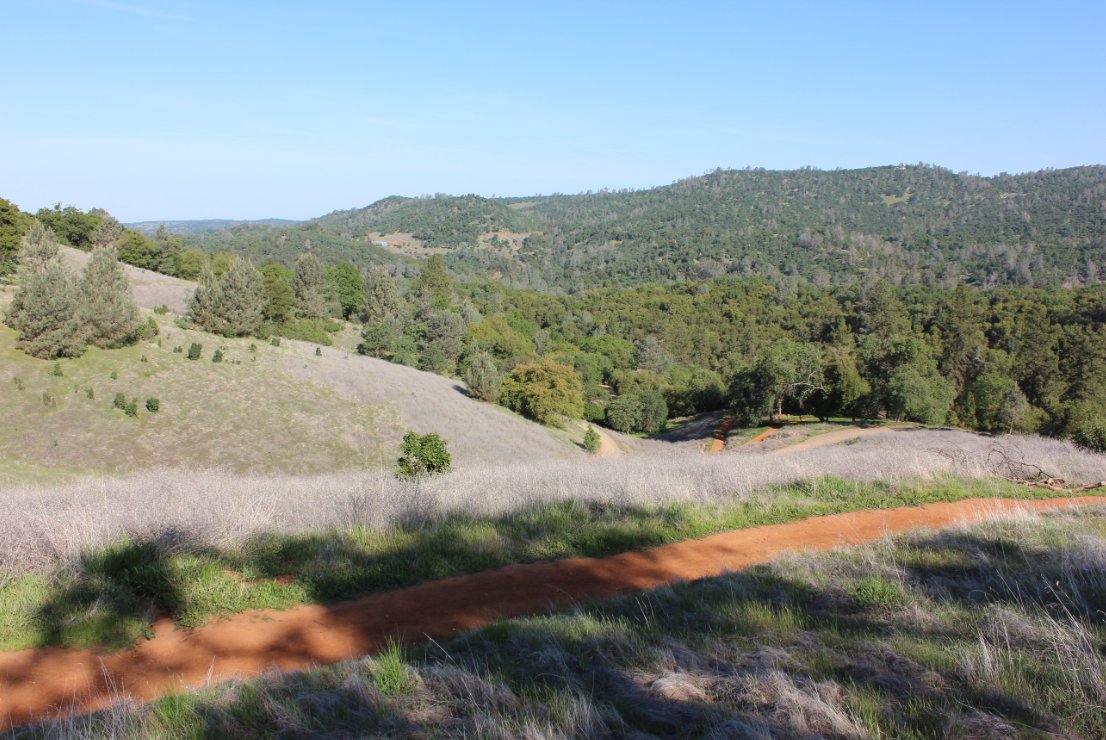Trails in the park