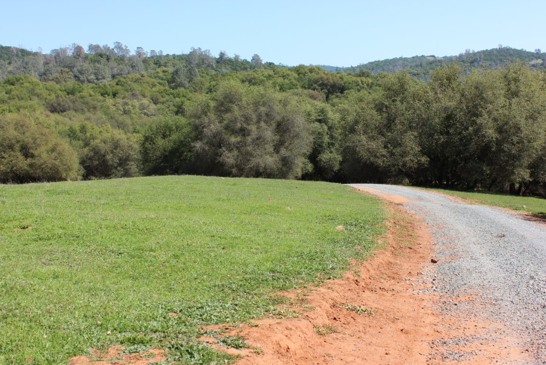 More typical scenery