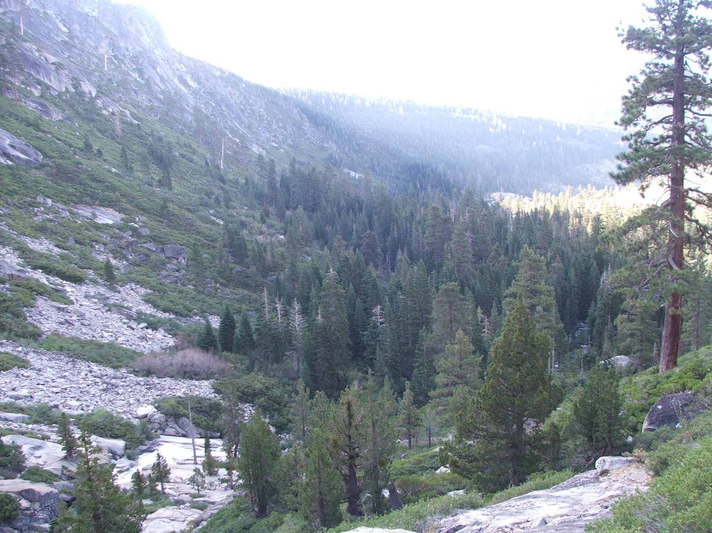 Looking back down canyon