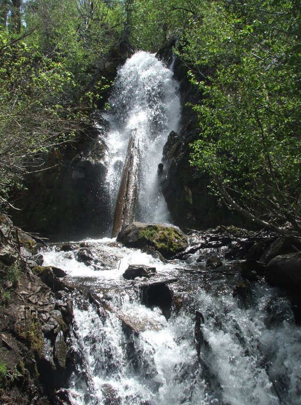 The Falls