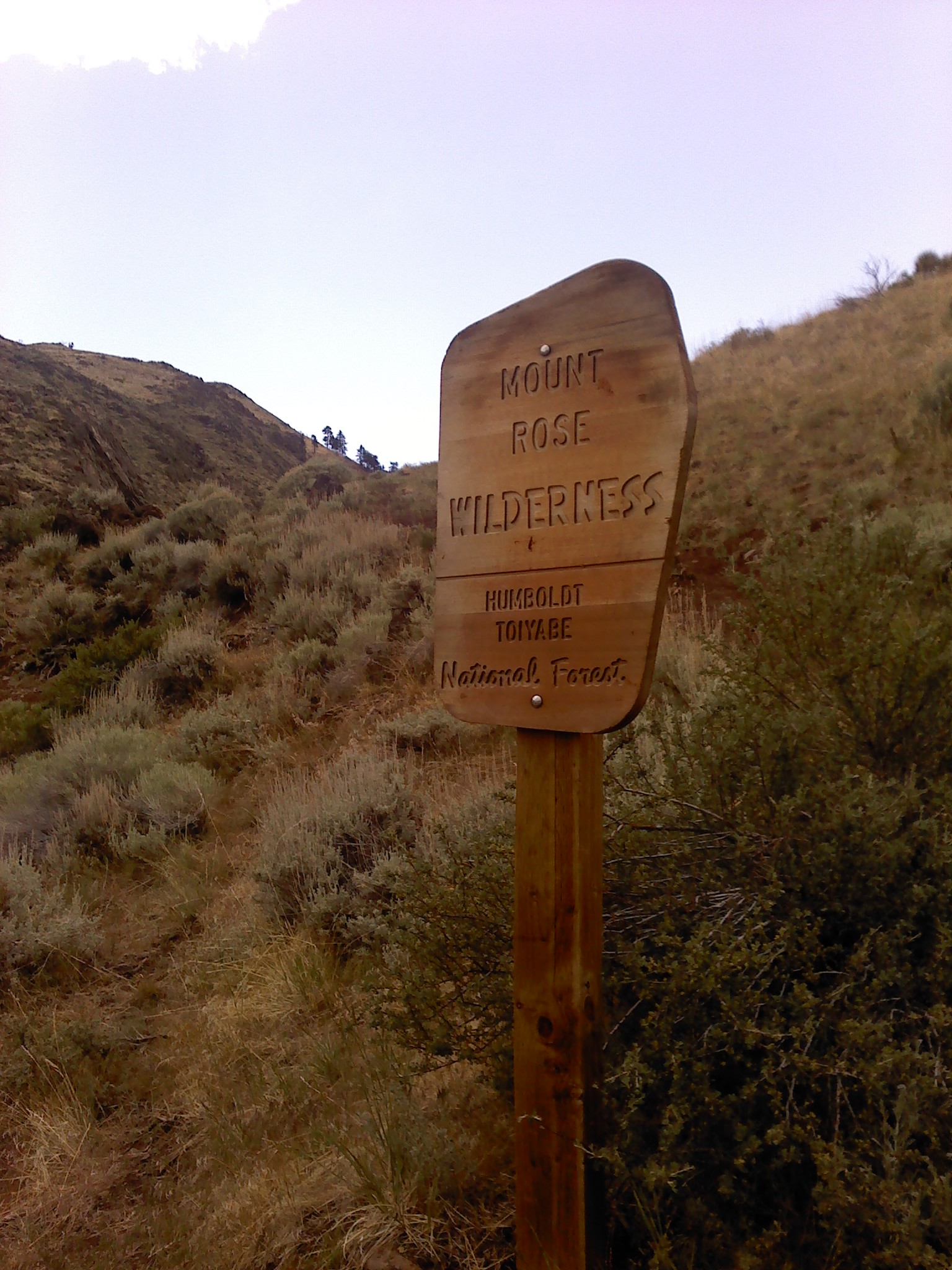 Mt Rose Wilderness