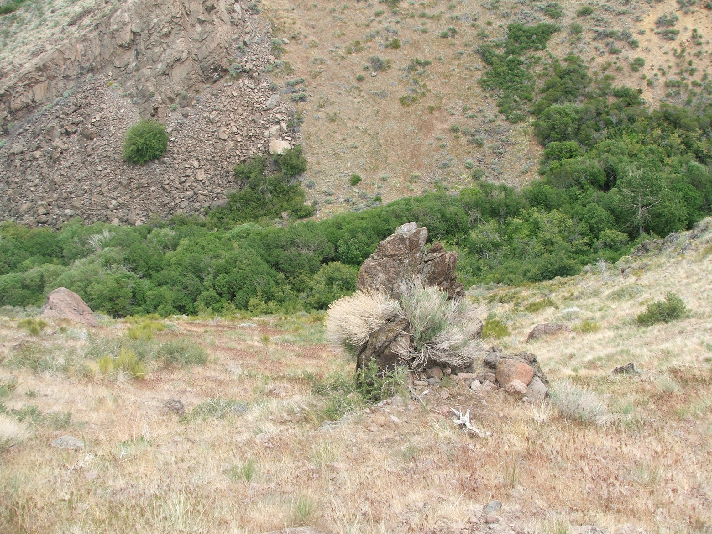 Trail down below