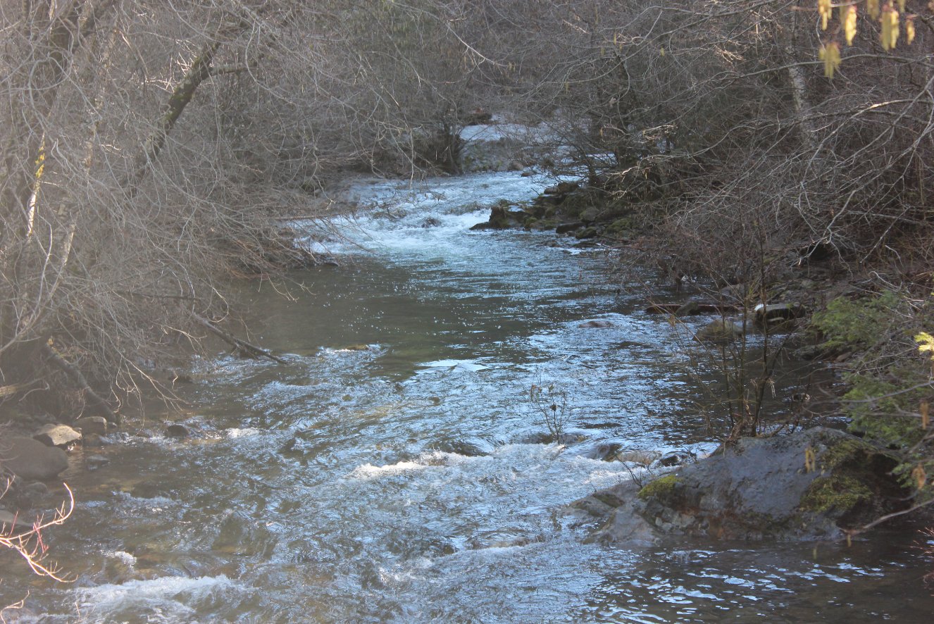 Park Creek