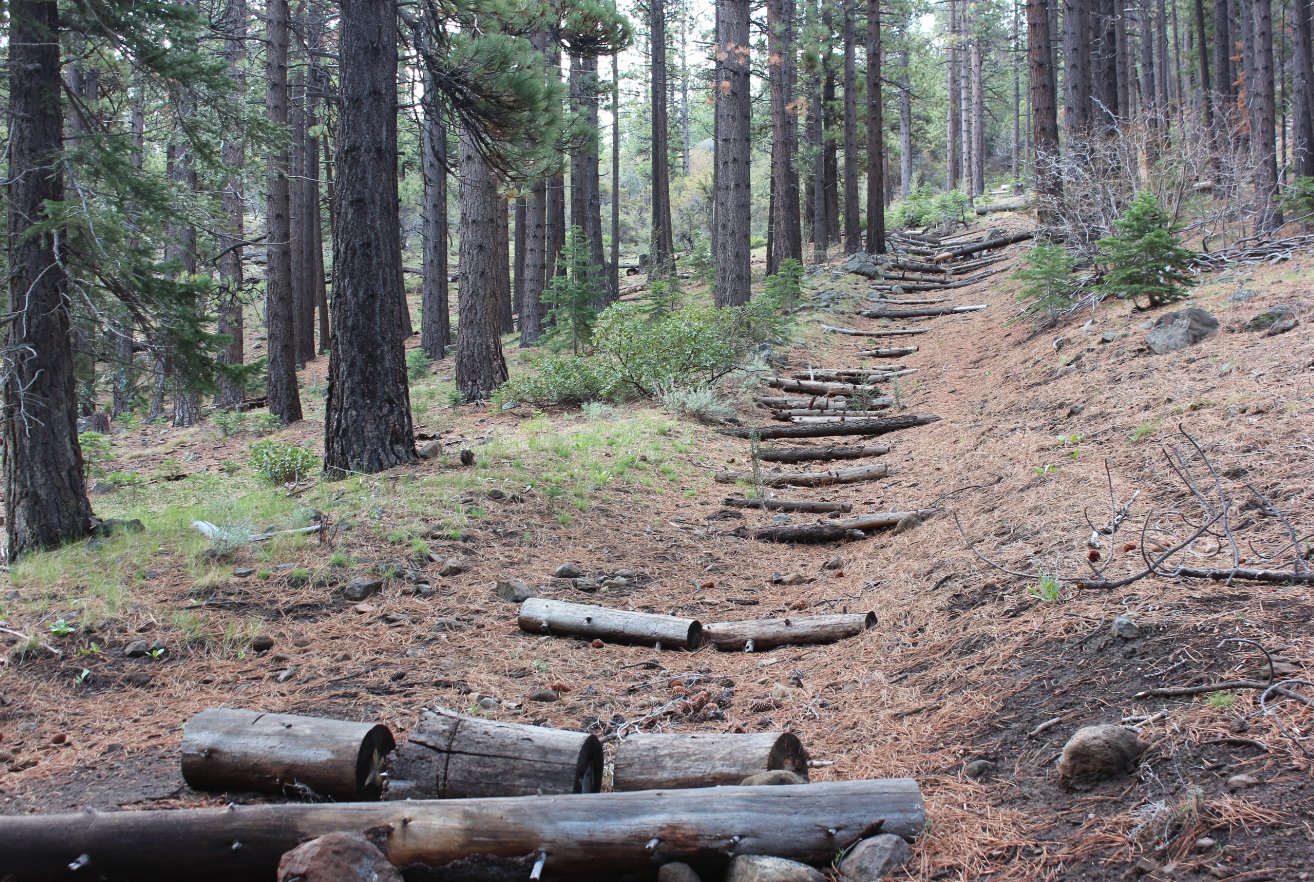 A trail no more