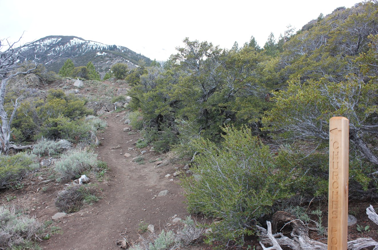 Church's Pond turnoff