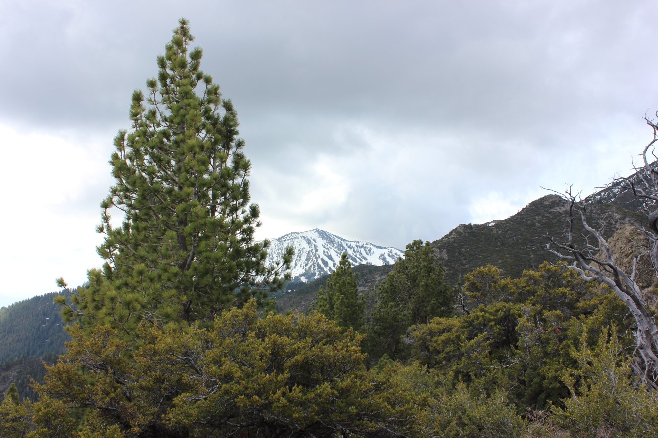 Mt. Rose Ski Area