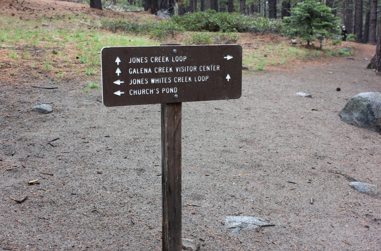 Trail junction near Galena
