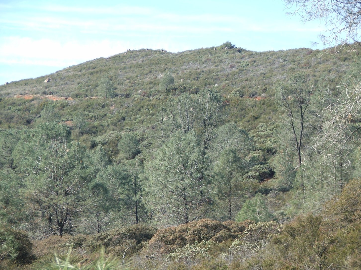 Looking toward a destination peak