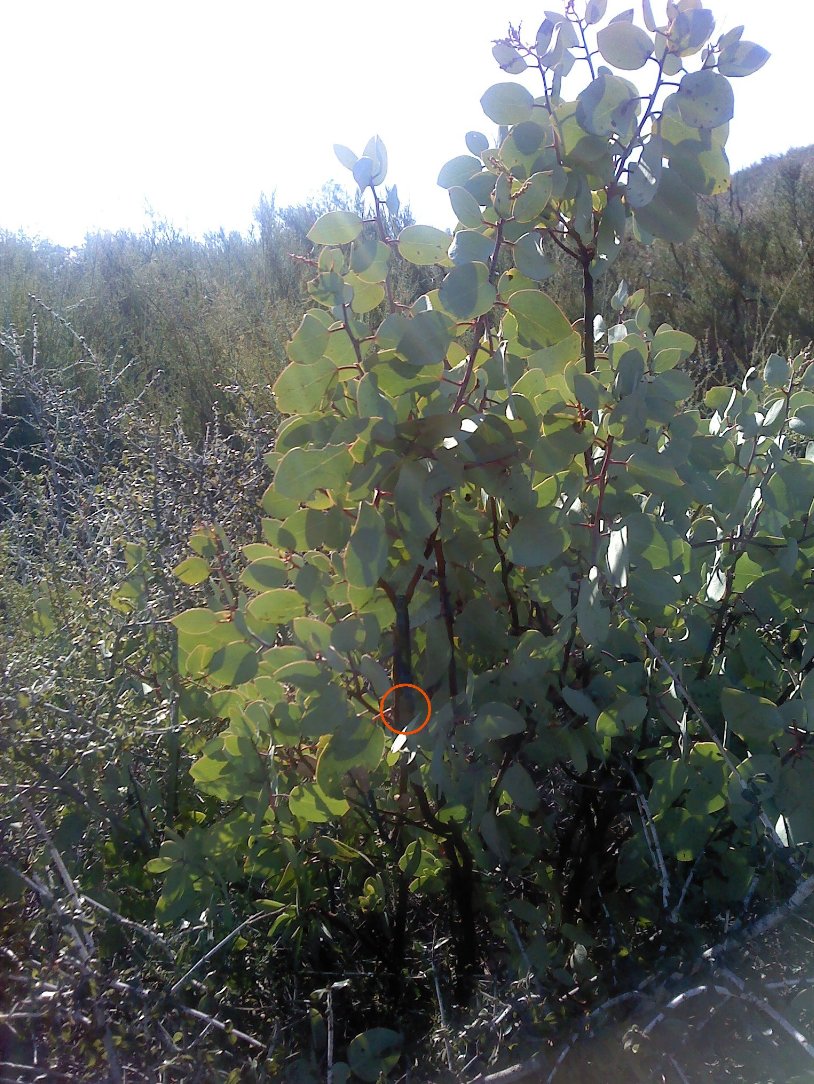 A small geocache