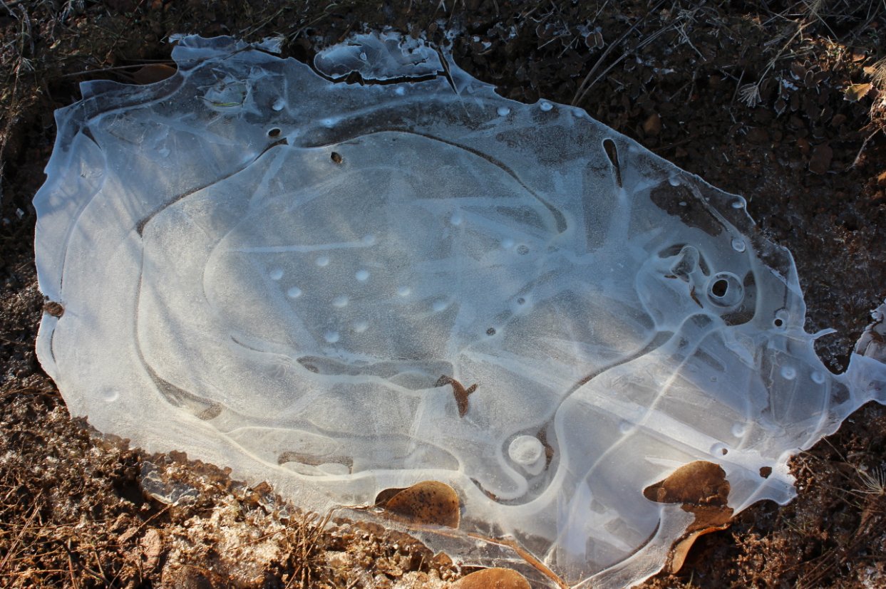 Frozen Water