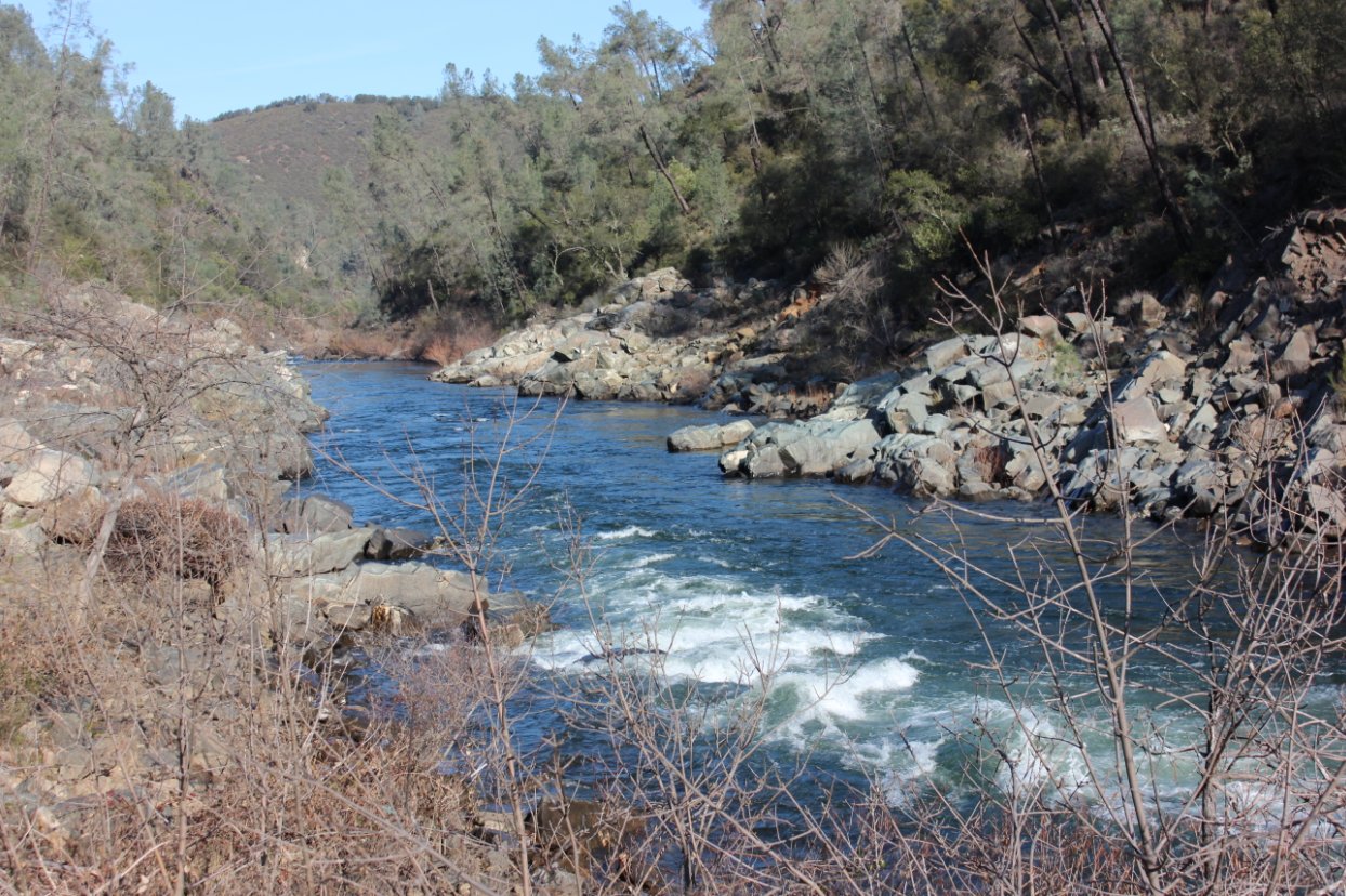 South Fork American