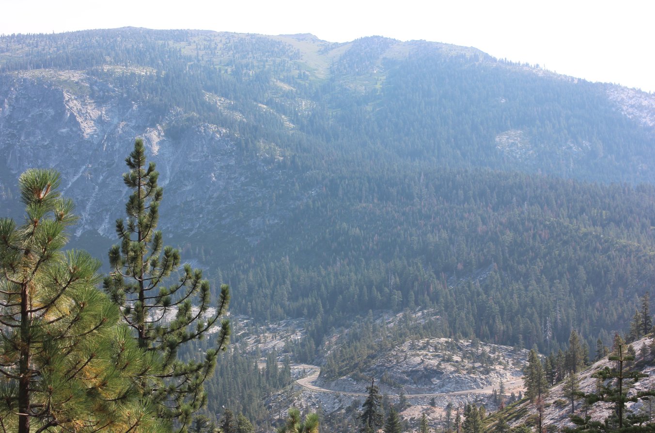 Brief look down