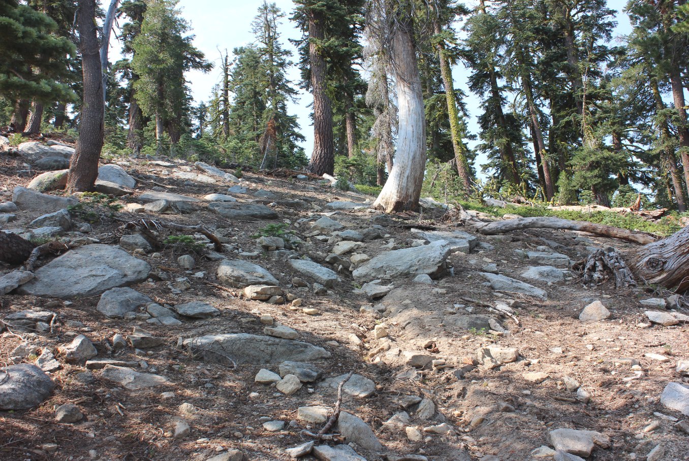 Steepness