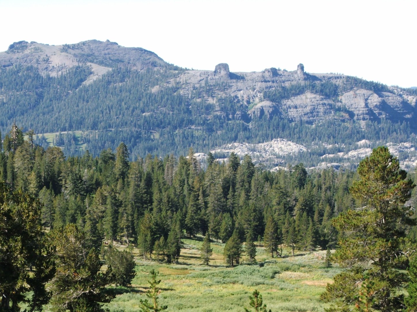 Sentinals from the ridge