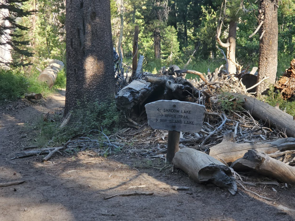 Shadow Lake junction