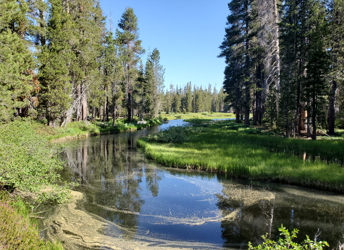 Water everywhere