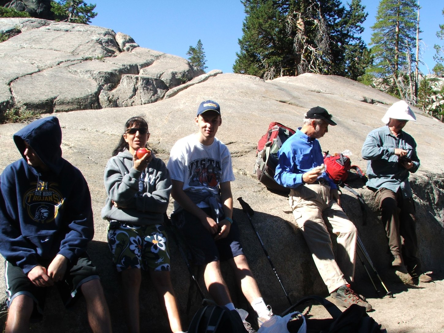 Group having lunch