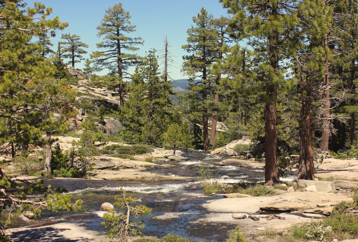 Shades of Tuolumne River