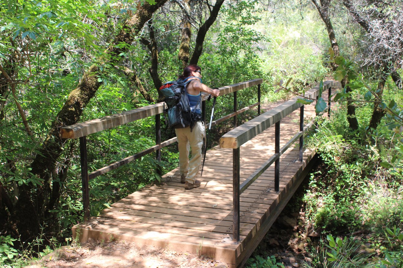 Bridge crossing