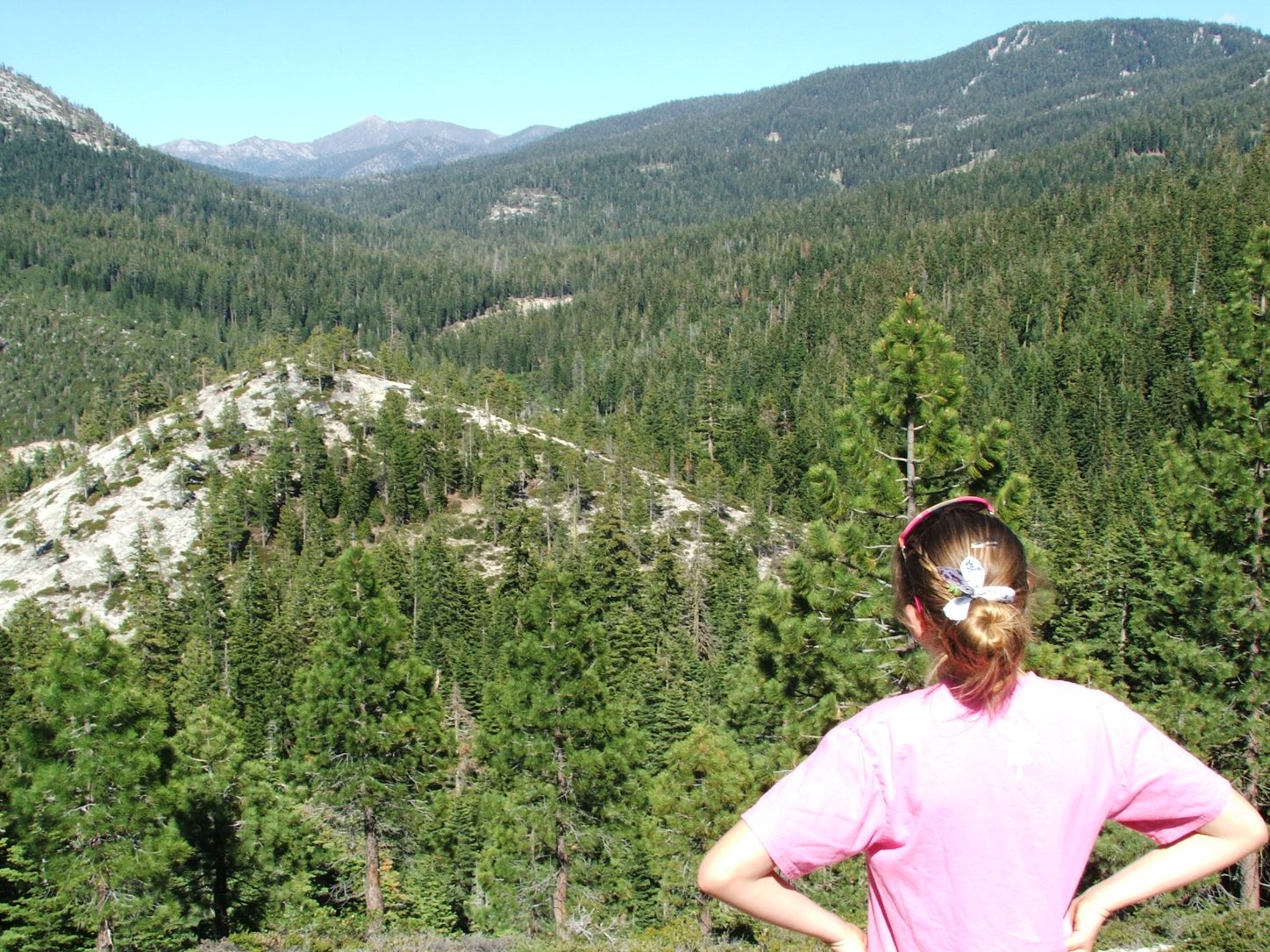 Looking east toward Freel Peak from the trail