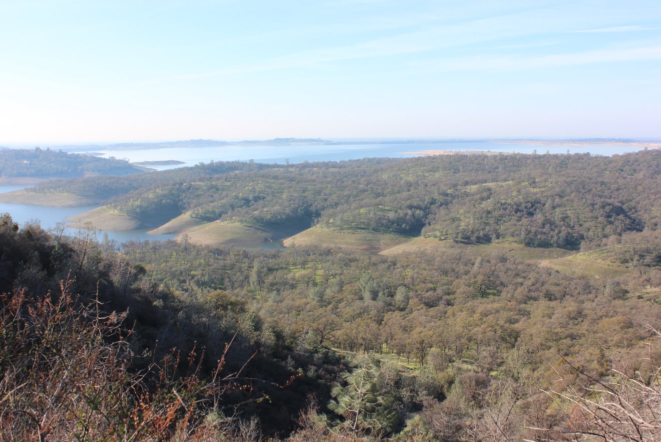 More of the peninsula