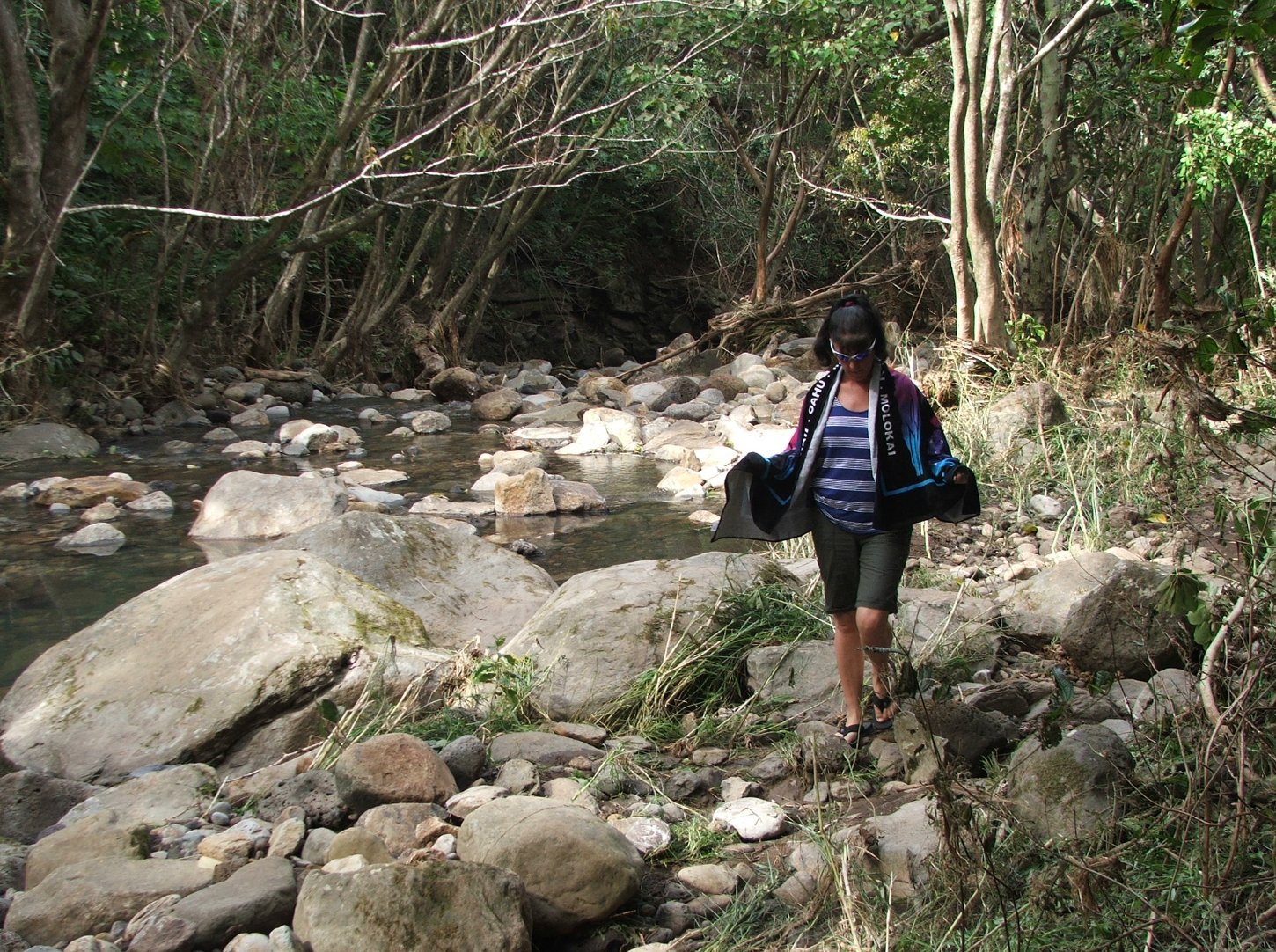 Continuing up the trail