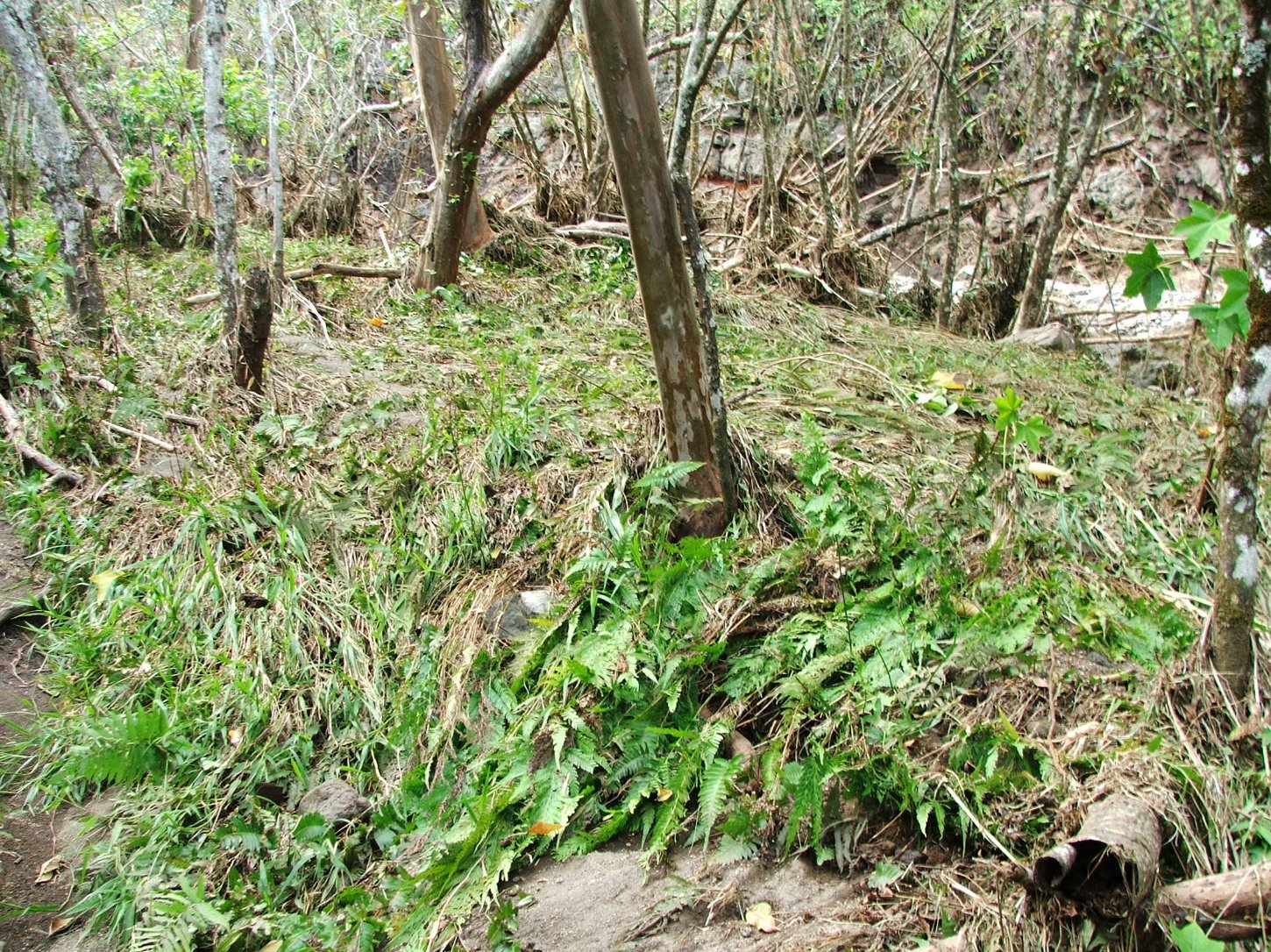 Indredible damage from flash flood
