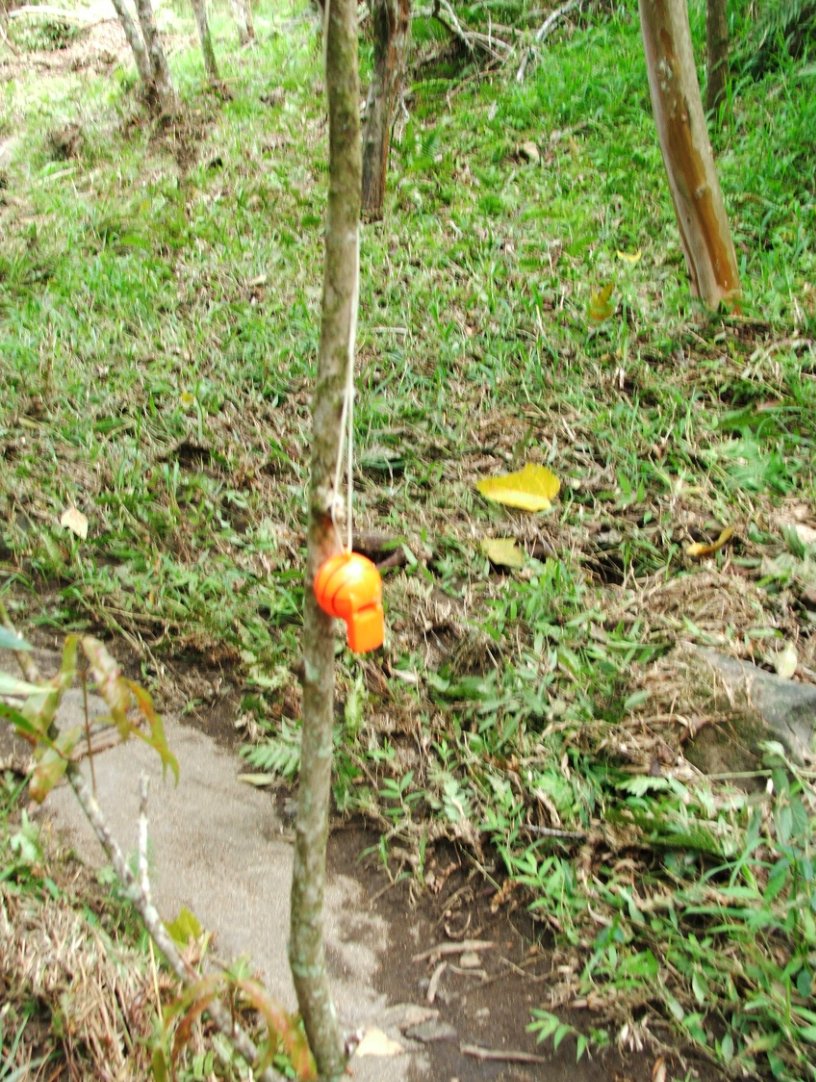 Only thing left from a geocache destroyed by rain