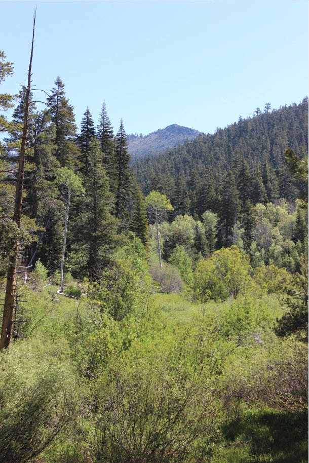 Snow Valley Peak