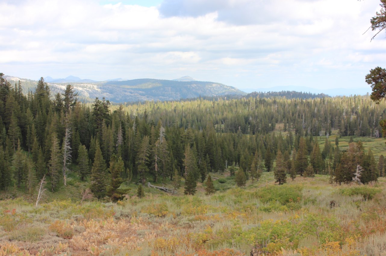 Into the Valley