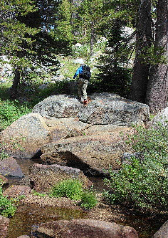 Crossing the Truckee