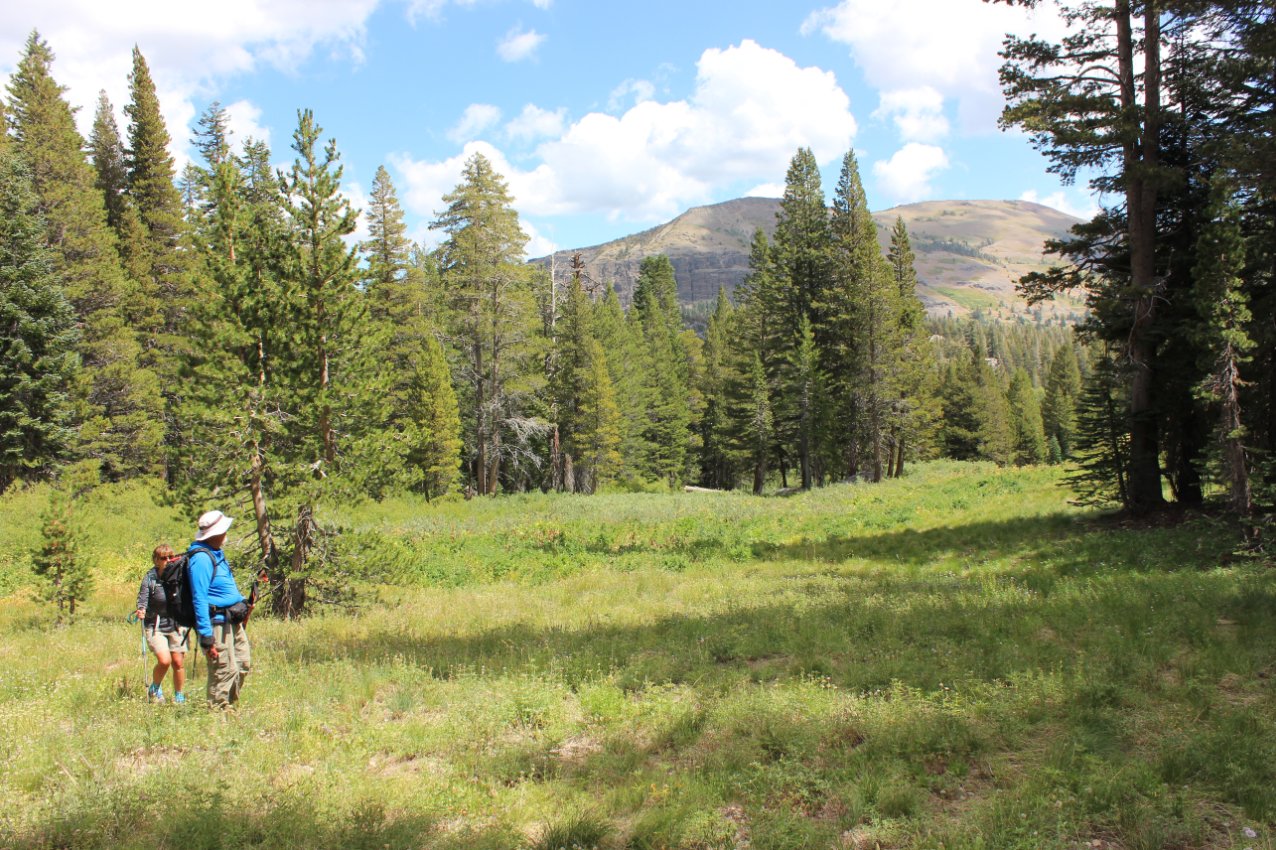 Back on the PCT